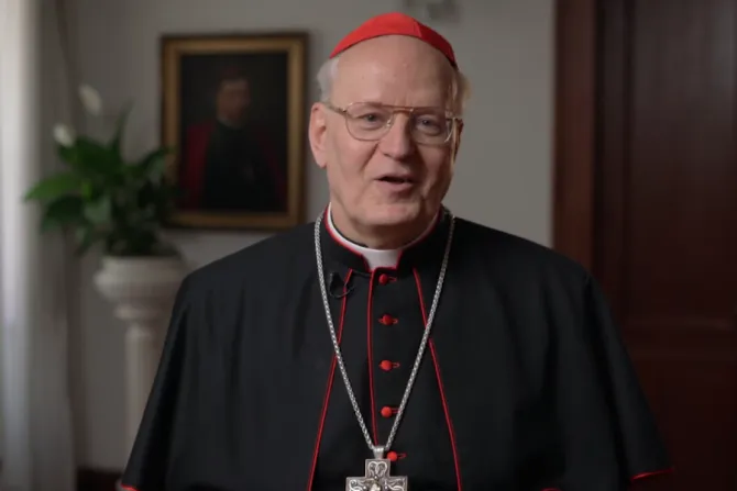 Cardinal Péter Erdő